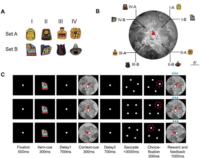 图1 任务范式设计
